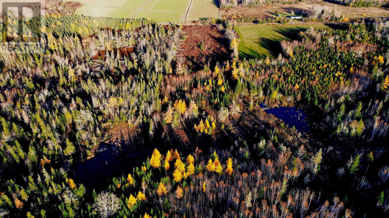 Albion Road, Route 327, Albion Cross, Prince Edward Island C0A 2A0 - Photo 5 - 202528083