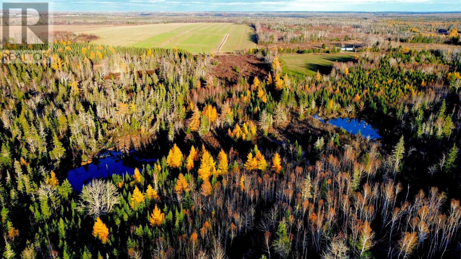 Albion Road, Route 327, Albion Cross, Prince Edward Island C0A 2A0 - Photo 6 - 202528083