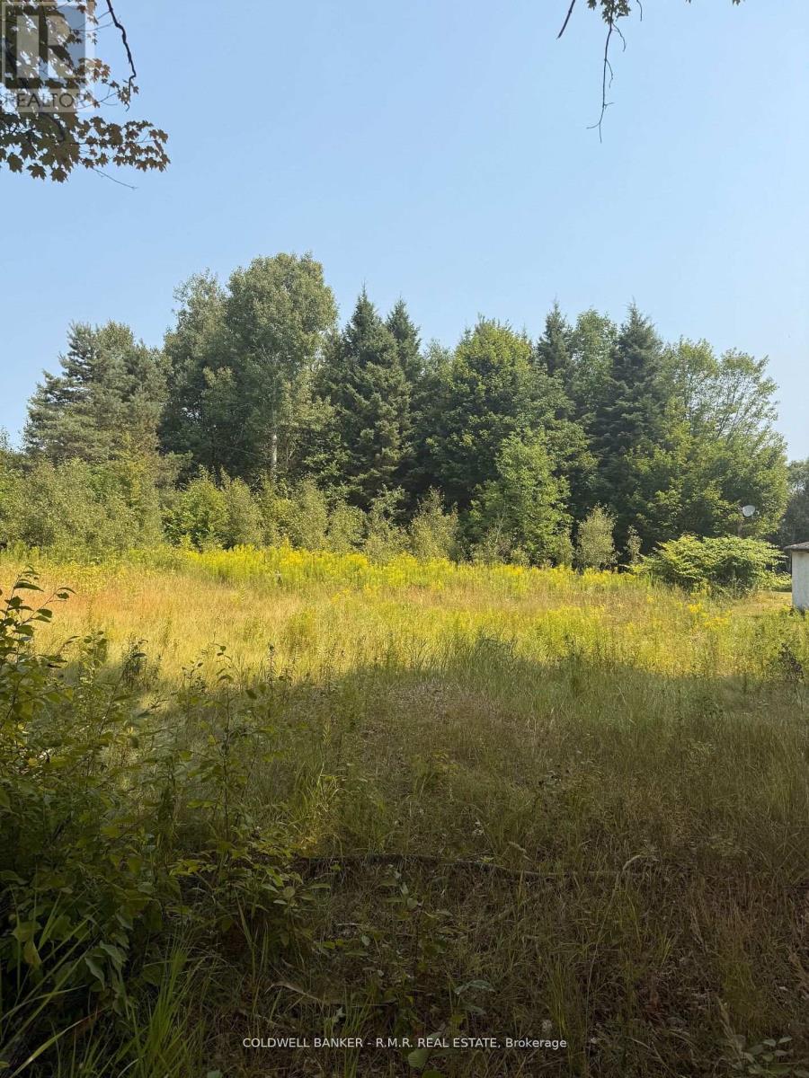 3995 Boulter Road, Hastings Highlands, Ontario K0L 1C0 - Photo 2 - X12550378