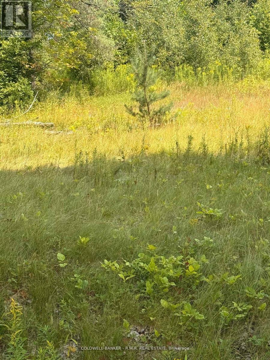 3995 Boulter Road, Hastings Highlands, Ontario K0L 1C0 - Photo 5 - X12550378