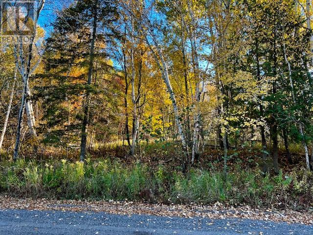 Lot 16 Seymour Street, North Bay, Ontario P1B 8Z4 - Photo 10 - X12483263