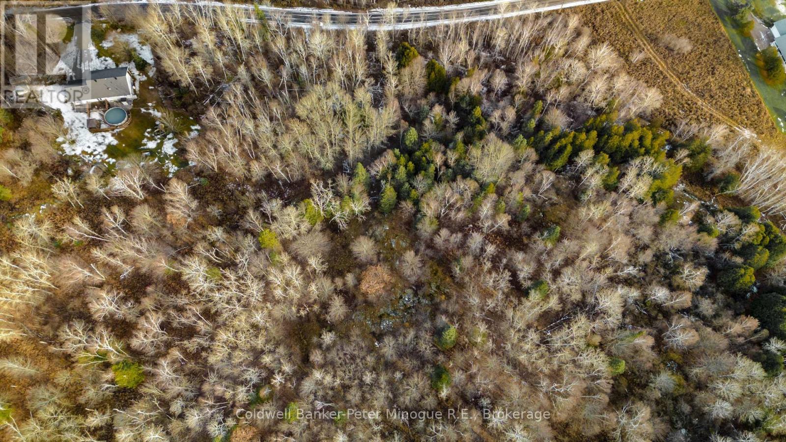 Lot 16 Seymour Street, North Bay, Ontario P1B 8Z4 - Photo 4 - X12483263