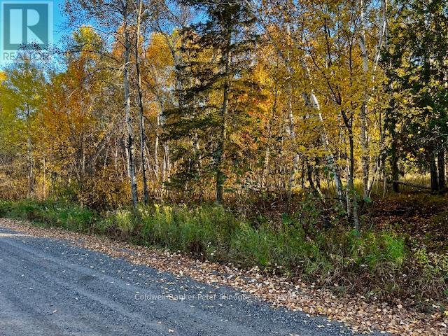 Lot 16 Seymour Street, North Bay, Ontario P1B 8Z4 - Photo 11 - X12483263