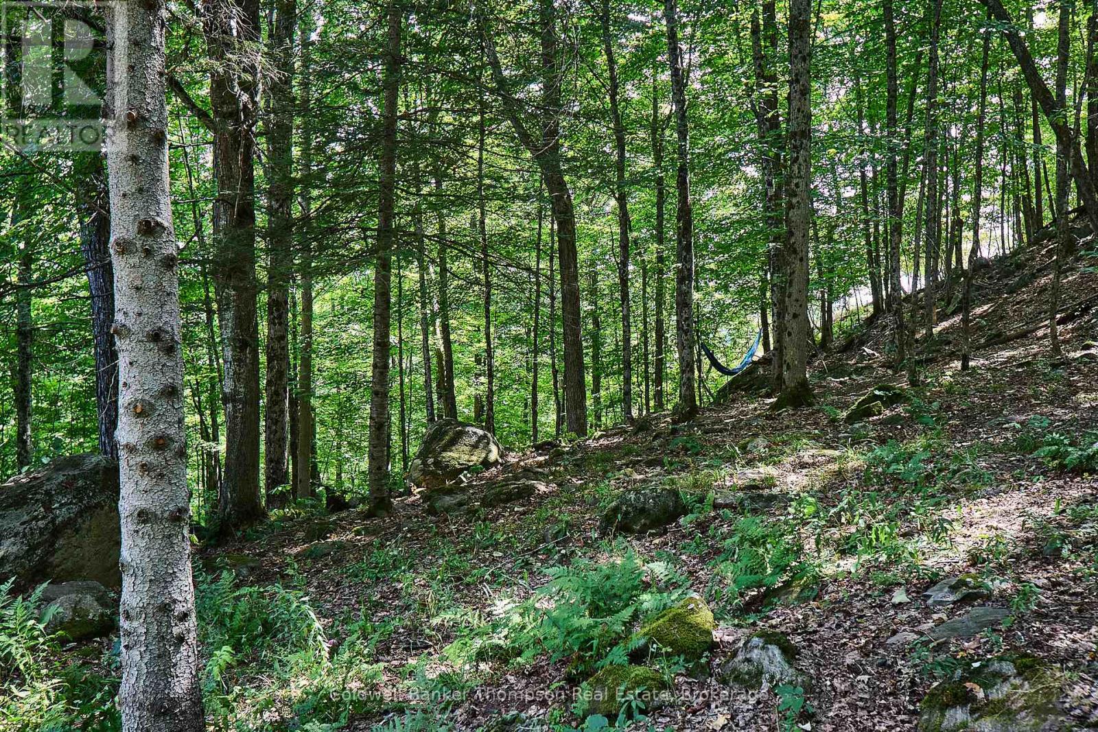 869 North Mary Lake Road, Huntsville, Ontario P1H 1S4 - Photo 34 - X12550358