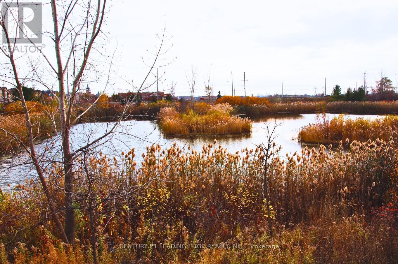 30 Hammersmith Lane, Markham, Ontario L6C 0Z5 - Photo 6 - N12550376