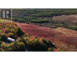 Bengal-Oceanview Road