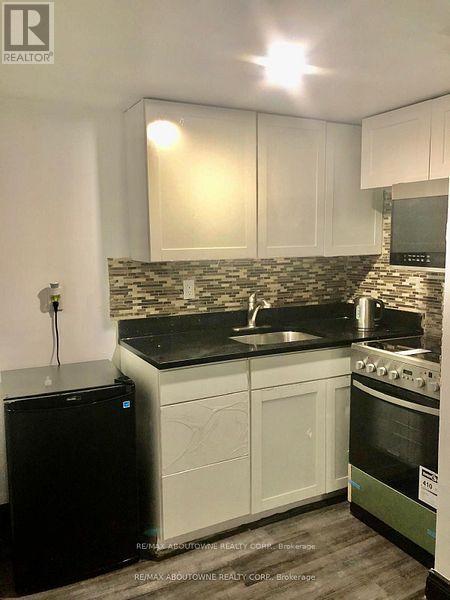 85 Wilson Street, Hamilton, Ontario  L8R 1C7 - Photo 15 - X12550502