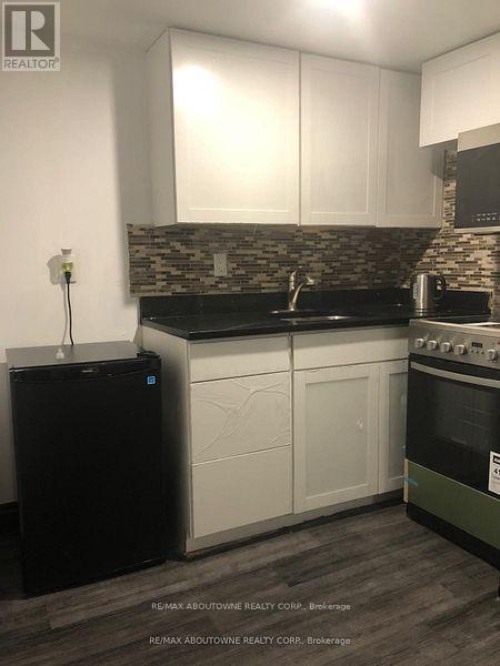 85 Wilson Street, Hamilton, Ontario  L8R 1C7 - Photo 16 - X12550502