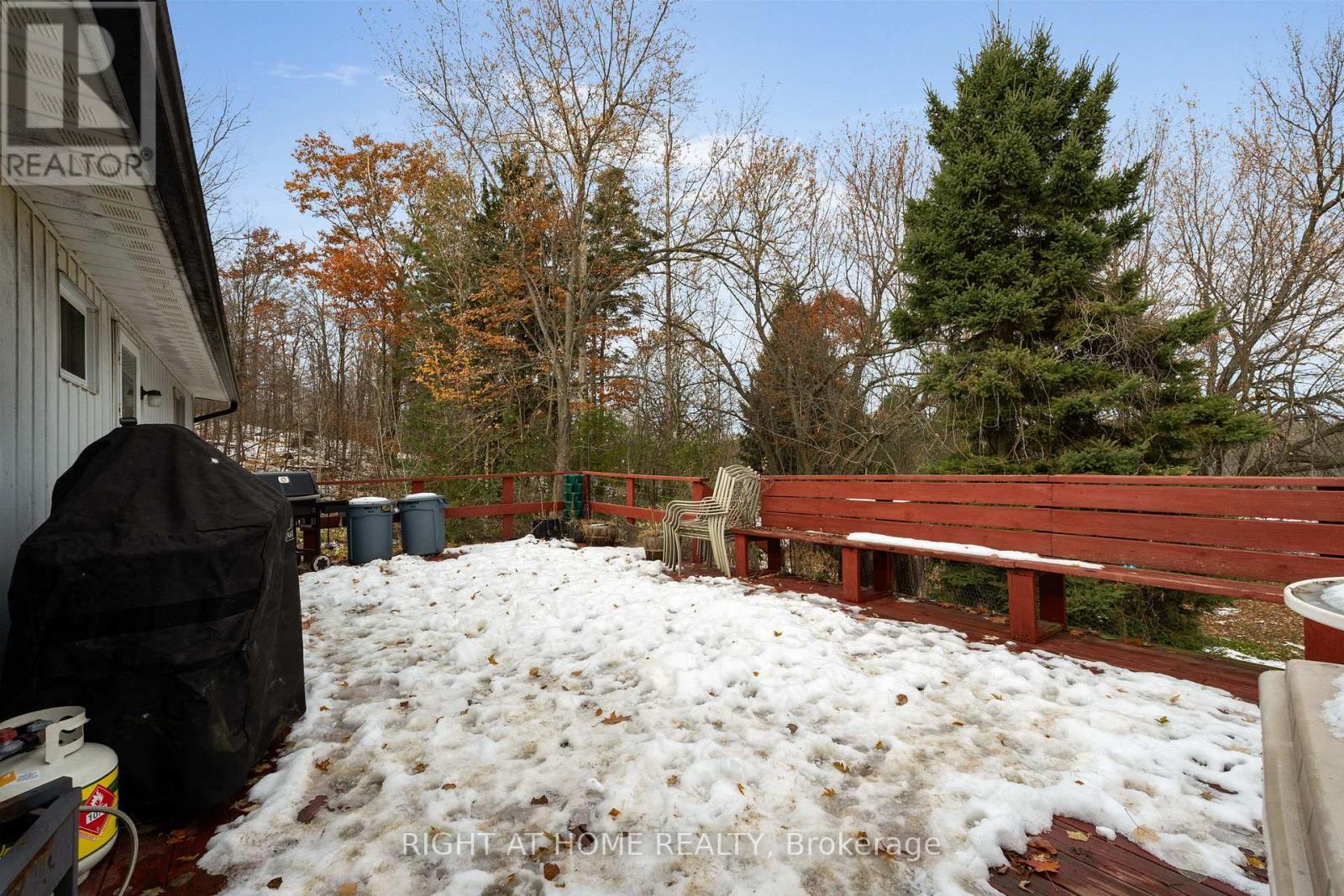 2421 10 Side Road N, New Tecumseth, Ontario  L0G 1W0 - Photo 36 - N12542576