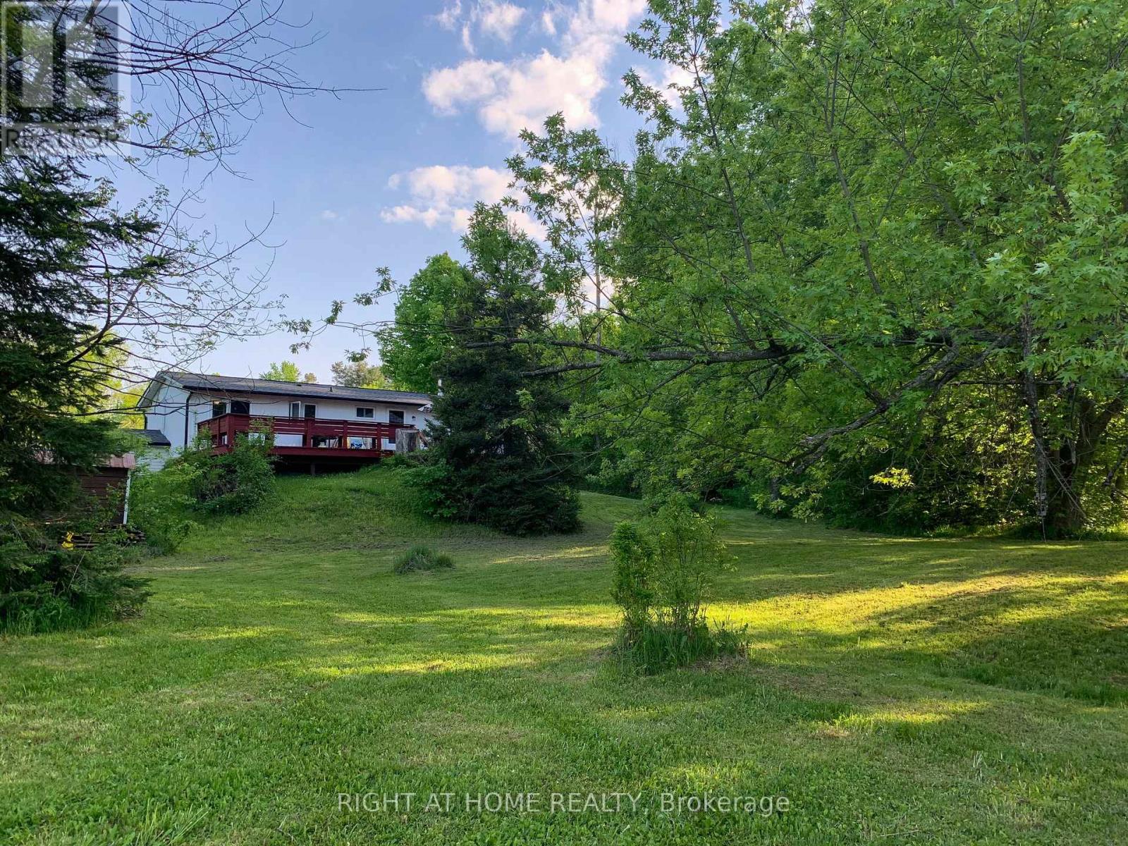 2421 10 Side Road N, New Tecumseth, Ontario  L0G 1W0 - Photo 38 - N12542576