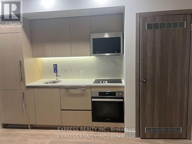 1507 - 38 Widmer Street, Toronto, Ontario  M5V 0P7 - Photo 3 - C12550652