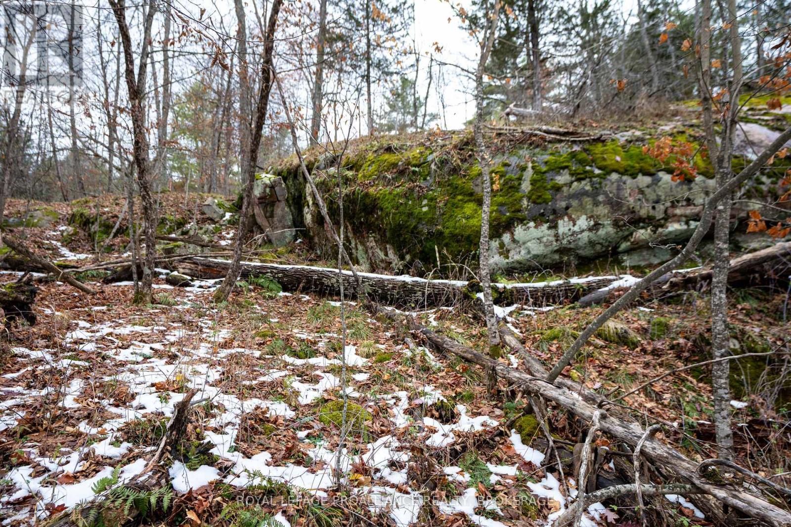 Pt Lt 1 Whites Point Road, Rideau Lakes, Ontario K0H 2N0 - Photo 19 - X12550890