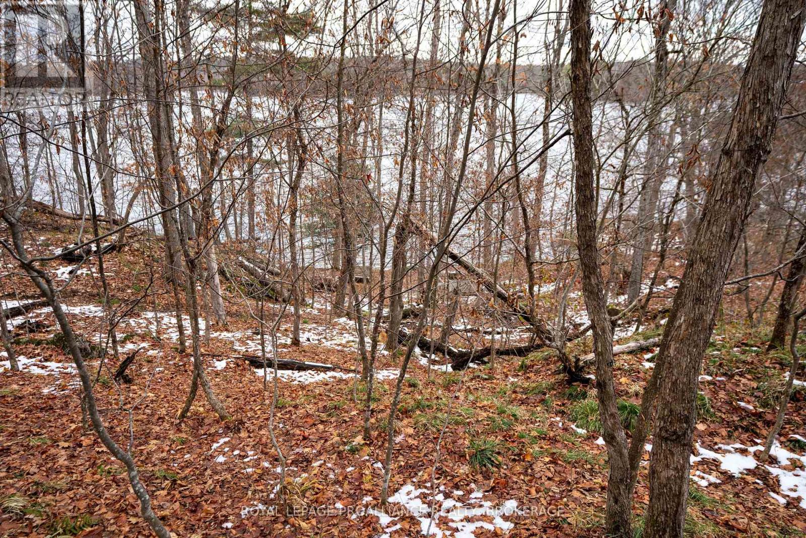 Pt Lt 1 Whites Point Road, Rideau Lakes, Ontario K0H 2N0 - Photo 20 - X12550890