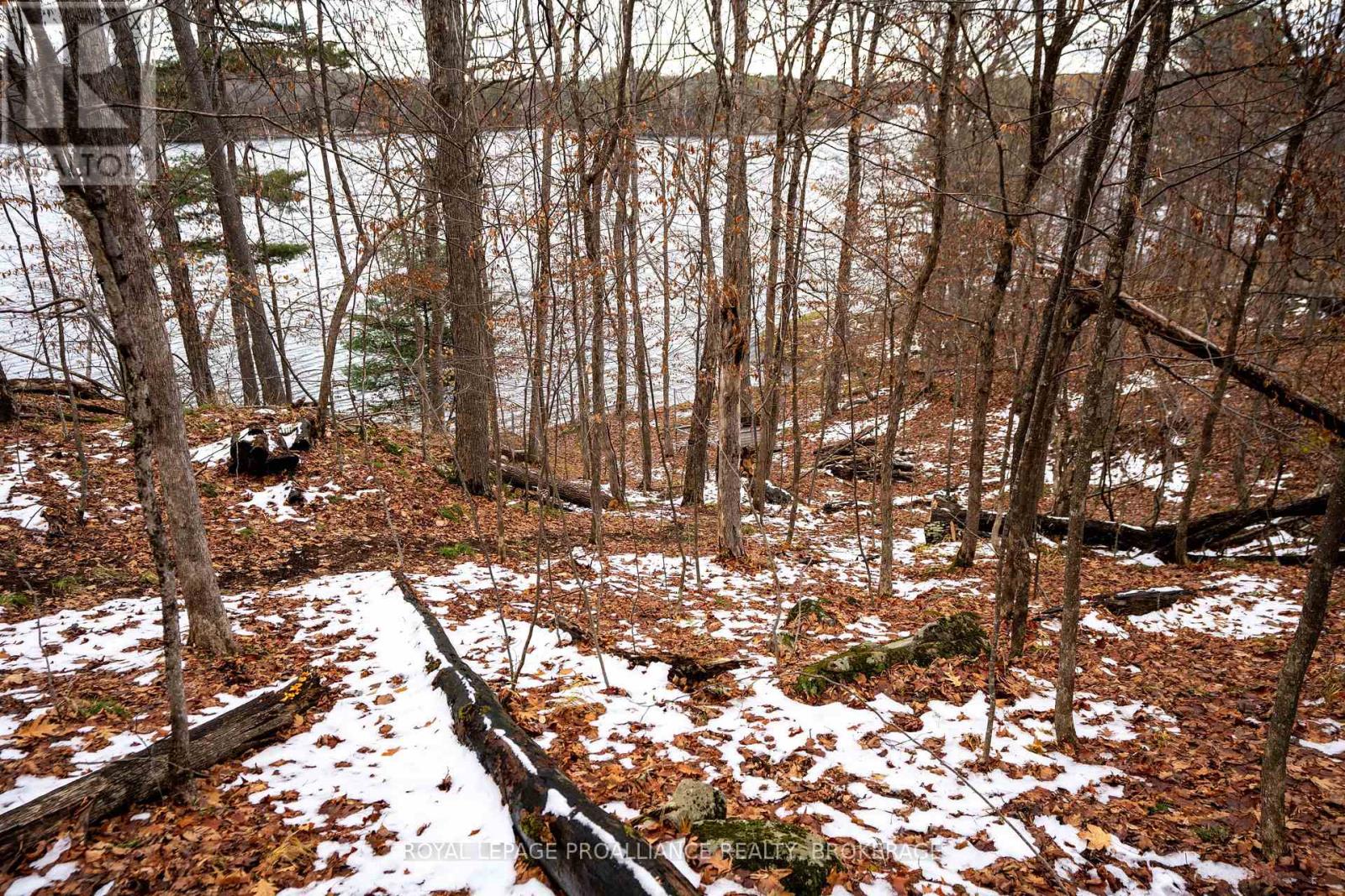 Pt Lt 1 Whites Point Road, Rideau Lakes, Ontario K0H 2N0 - Photo 36 - X12550890