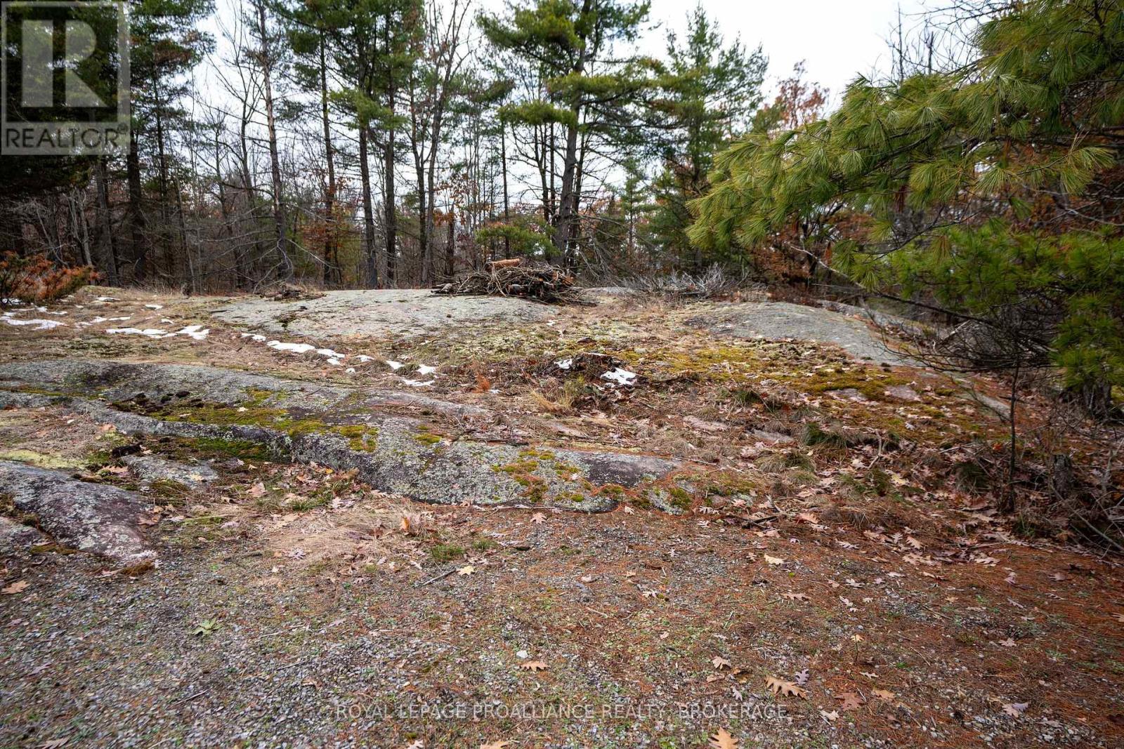 Pt Lt 1 Whites Point Road, Rideau Lakes, Ontario K0H 2N0 - Photo 41 - X12550890