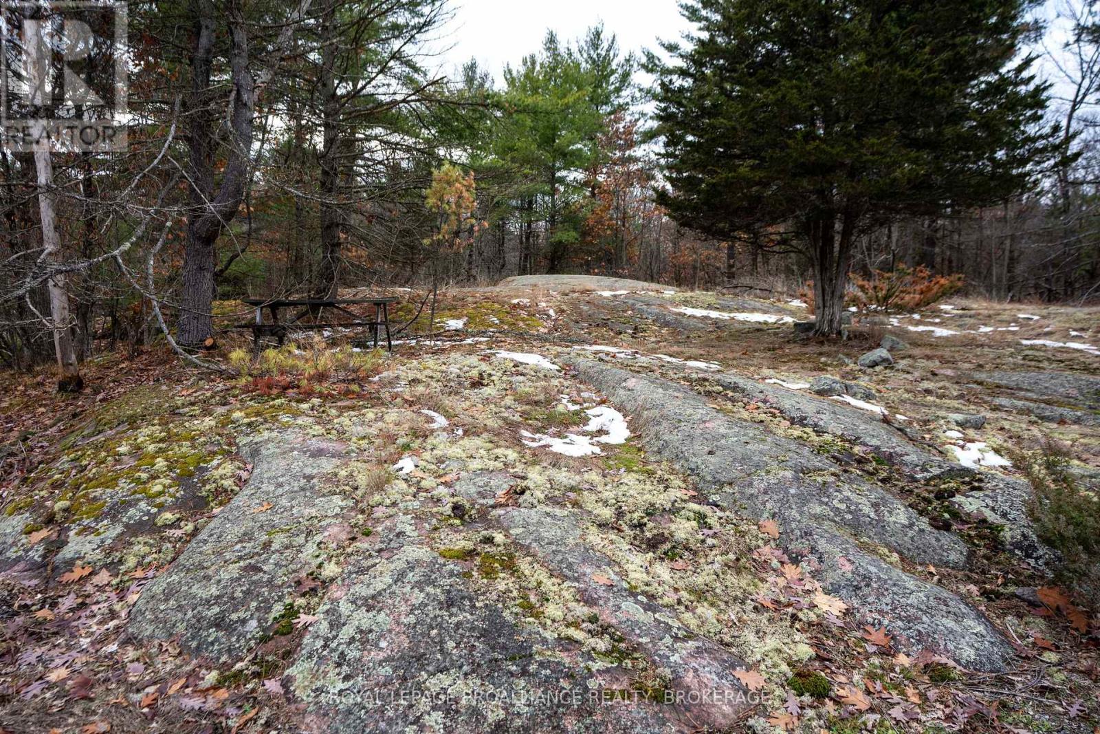 Pt Lt 1 Whites Point Road, Rideau Lakes, Ontario K0H 2N0 - Photo 42 - X12550890