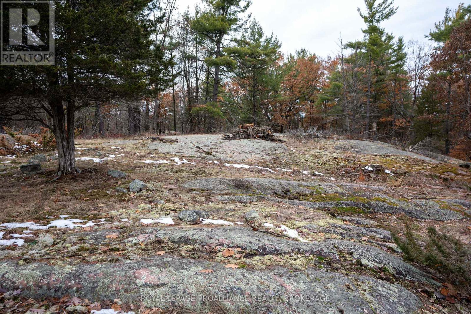 Pt Lt 1 Whites Point Road, Rideau Lakes, Ontario K0H 2N0 - Photo 43 - X12550890