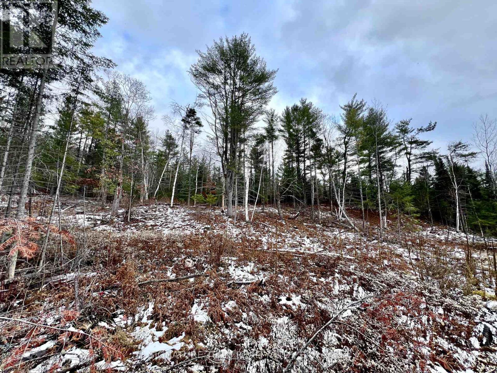 744 Black Creek Road, North Algona Wilberforce, Ontario K8A 6W5 - Photo 10 - X12550820