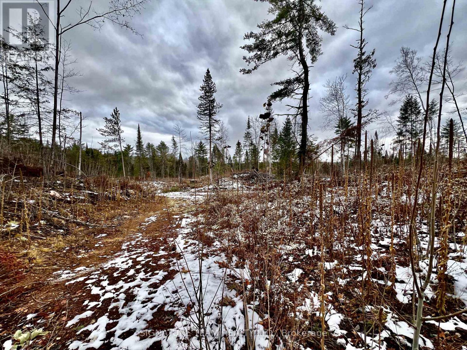 744 Black Creek Road, North Algona Wilberforce, Ontario K8A 6W5 - Photo 15 - X12550820