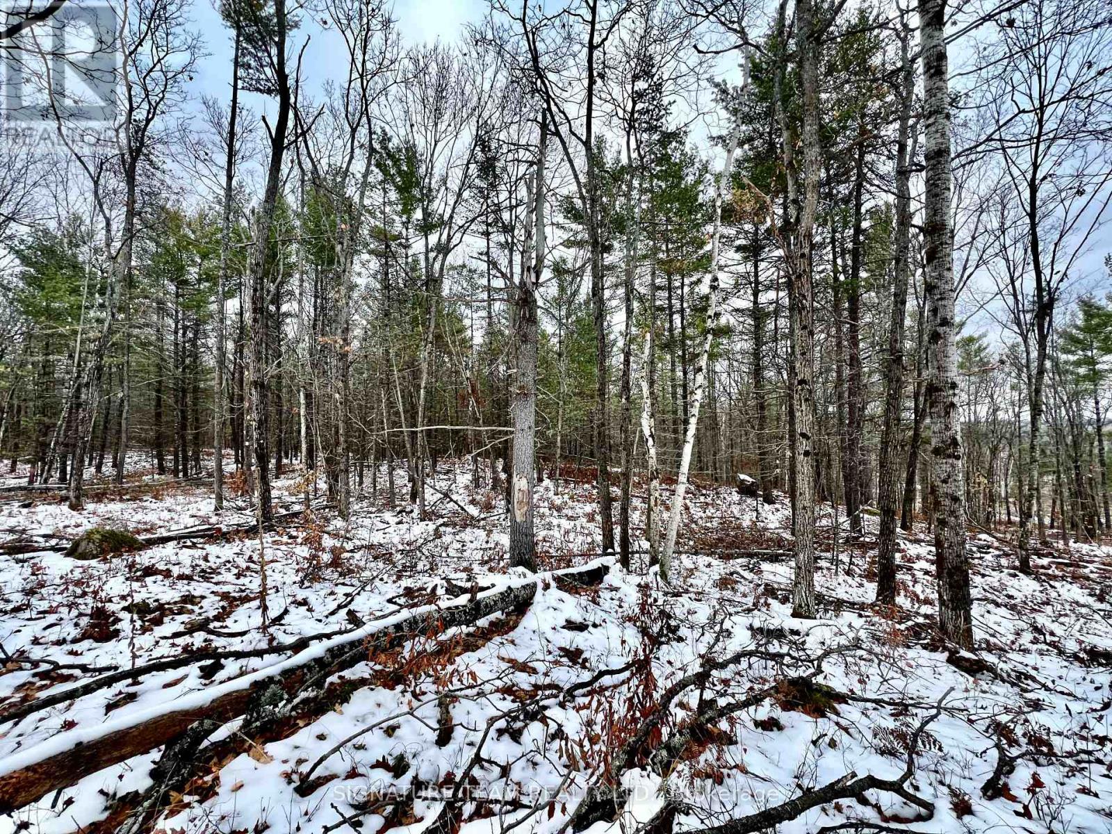 744 Black Creek Road, North Algona Wilberforce, Ontario K8A 6W5 - Photo 18 - X12550820