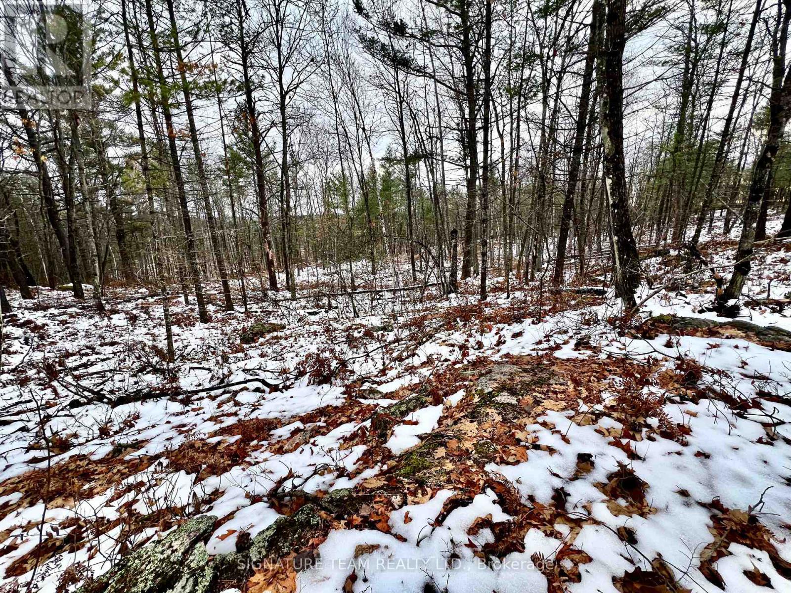 744 Black Creek Road, North Algona Wilberforce, Ontario K8A 6W5 - Photo 19 - X12550820