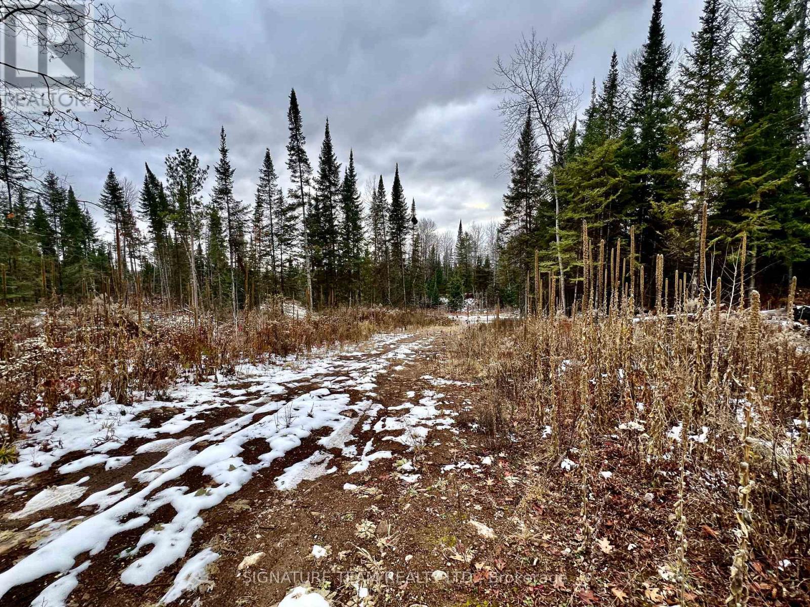 744 Black Creek Road, North Algona Wilberforce, Ontario K8A 6W5 - Photo 5 - X12550820