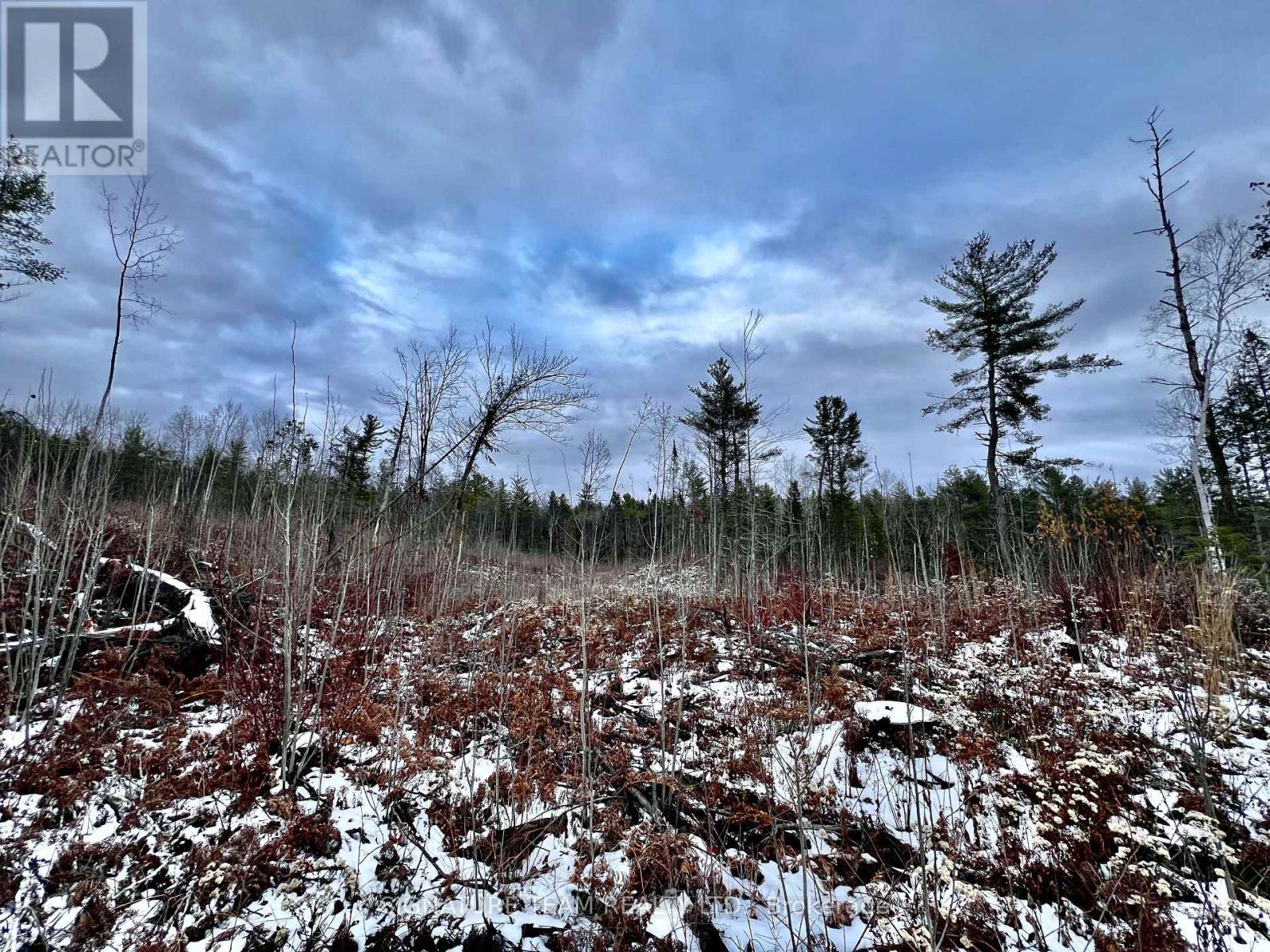 744 Black Creek Road, North Algona Wilberforce, Ontario K8A 6W5 - Photo 6 - X12550820