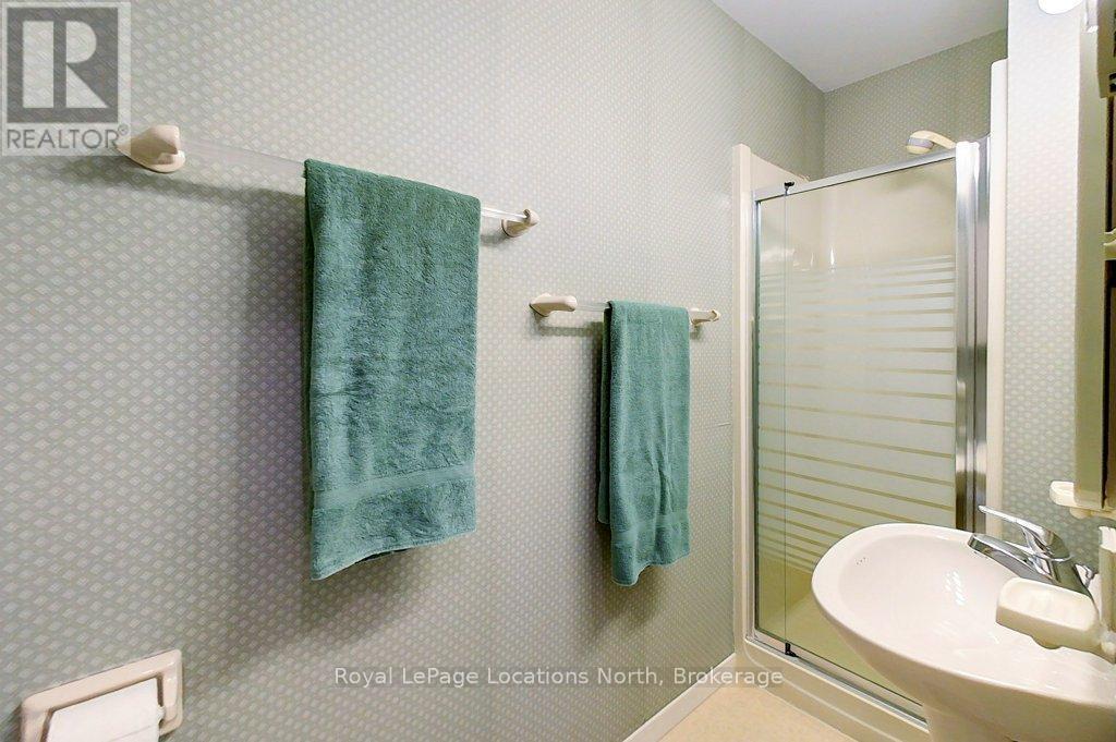 22 Trafalgar Road, Collingwood, Ontario L9Y 5G4 - Photo 33 - S12550784