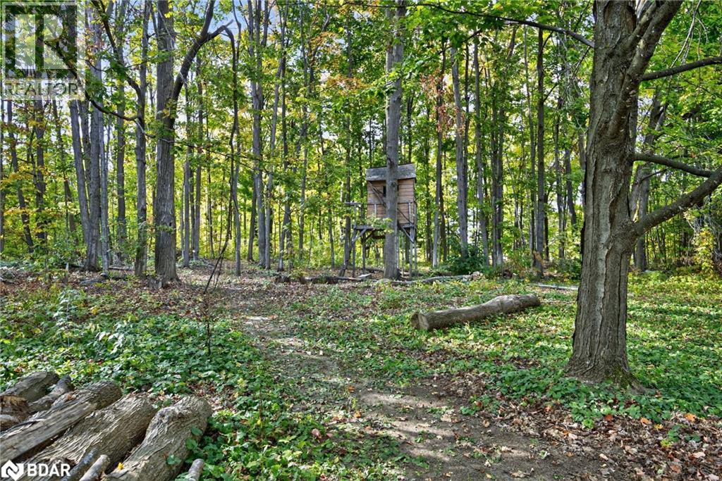 10 Conder Drive, Warminster, Ontario  L0K 1E0 - Photo 31 - 40788679