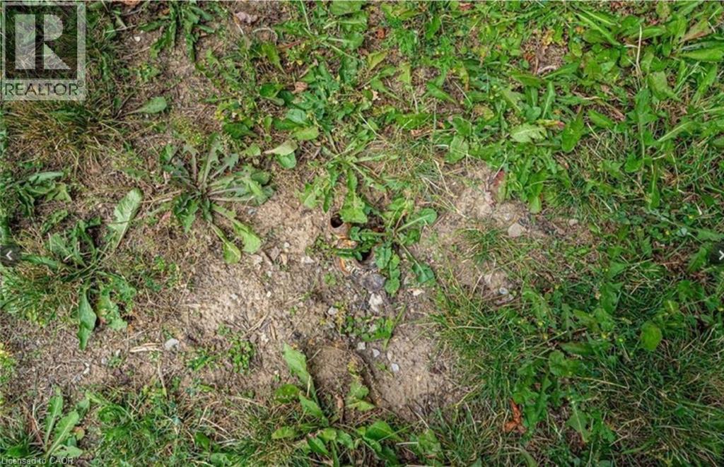 879 West 5th Street, Hamilton, Ontario  L9C 5R4 - Photo 6 - 40787891