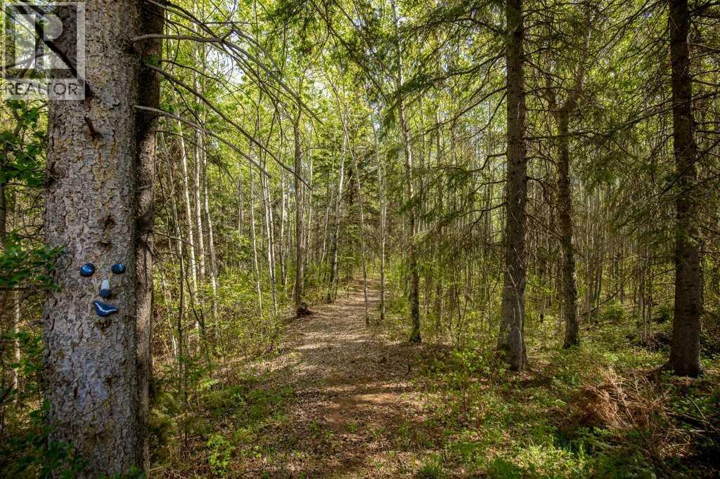 422005 Range Road 20, Rural Ponoka County, Alberta  T0C 1V0 - Photo 16 - A2221467