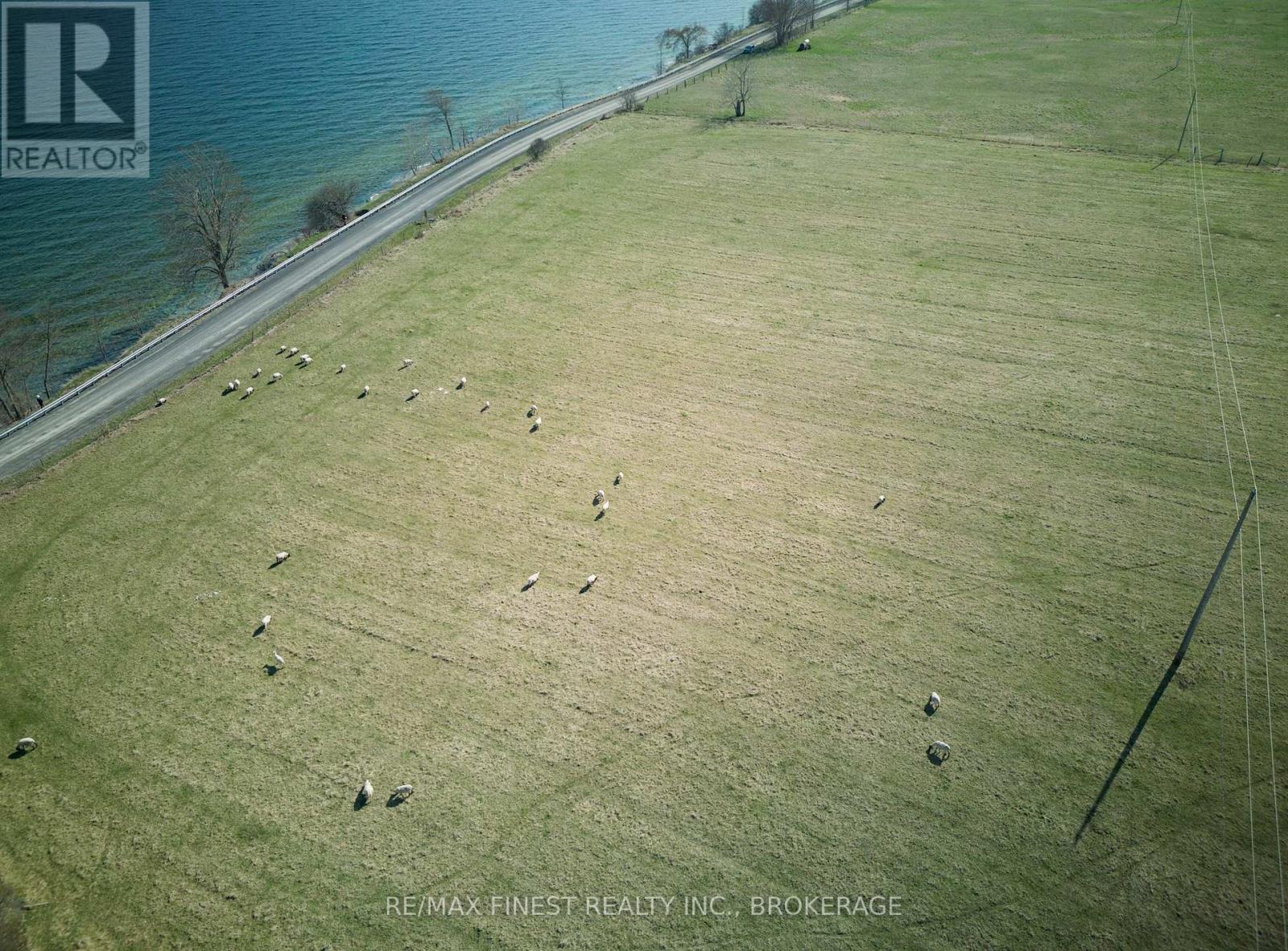 Lt 17 Pt 2 South Shore Road, Loyalist, Ontario  K0H 2S0 - Photo 9 - X12550328