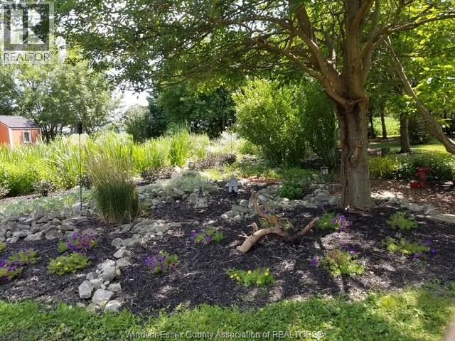 527 County Rd 42, Lakeshore, Ontario N8N 2L9 - Photo 35 - 25028946