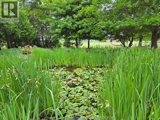 527 County Rd 42, Lakeshore, Ontario N8N 2L9 - Photo 37 - 25028946