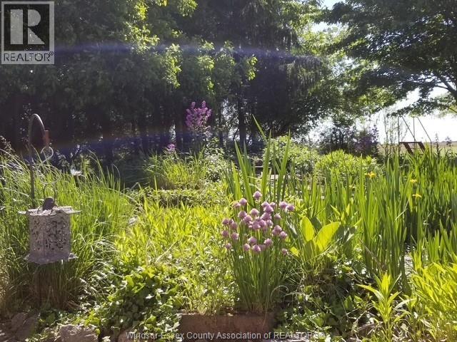 527 County Rd 42, Lakeshore, Ontario N8N 2L9 - Photo 39 - 25028946