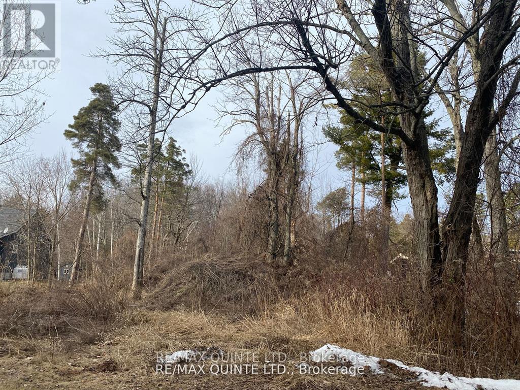 149 Evergreen Lane, Brighton, Ontario  K0K 1H0 - Photo 6 - X11974720