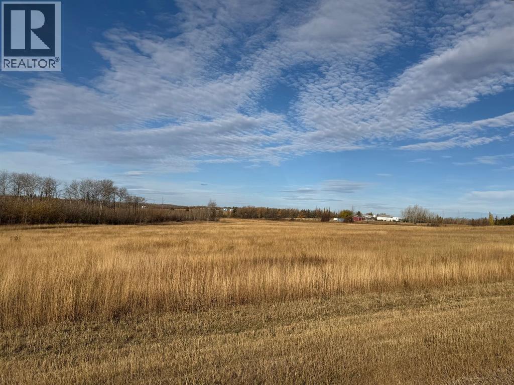 41 - 714010 Range Road 73, Rural Grande Prairie No. 1, Alberta T8W 5J7 - Photo 4 - A2269033