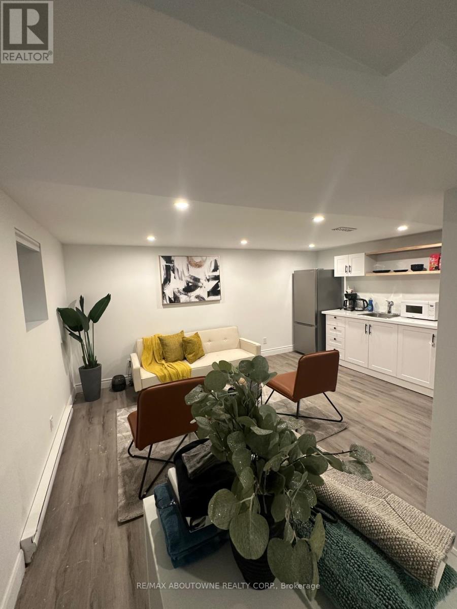 Lower - 66 Wellington Street S, Hamilton, Ontario  L8N 2R1 - Photo 10 - X12550964