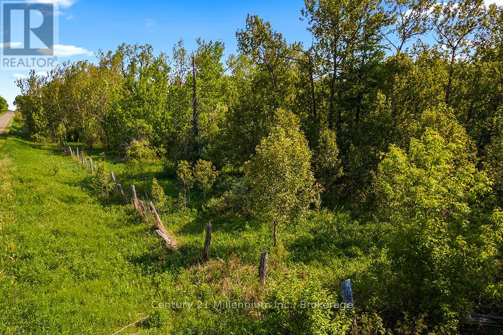 375533 6th Line, Amaranth, Ontario L9V 1K8 - Photo 10 - X12551434