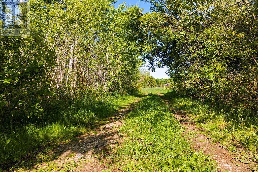 375533 6th Line, Amaranth, Ontario L9V 1K8 - Photo 15 - X12551434