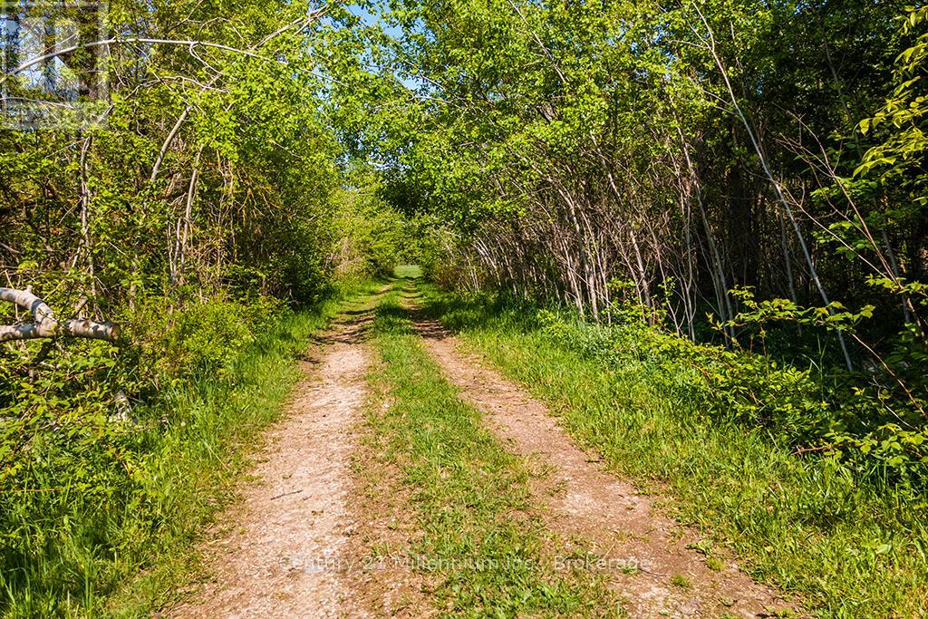 375533 6th Line, Amaranth, Ontario L9V 1K8 - Photo 16 - X12551434