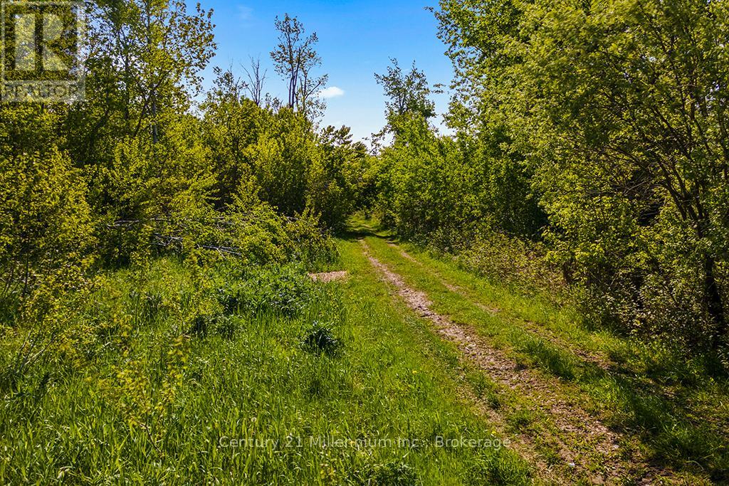 375533 6th Line, Amaranth, Ontario L9V 1K8 - Photo 17 - X12551434
