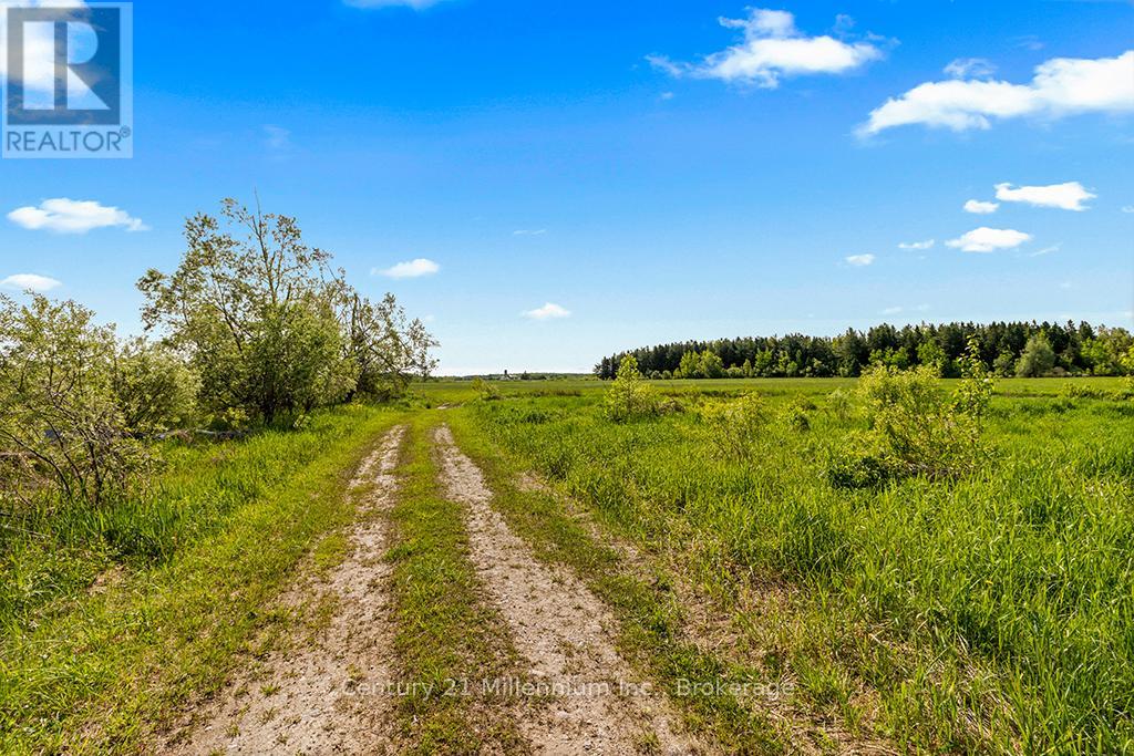 375533 6th Line, Amaranth, Ontario L9V 1K8 - Photo 18 - X12551434