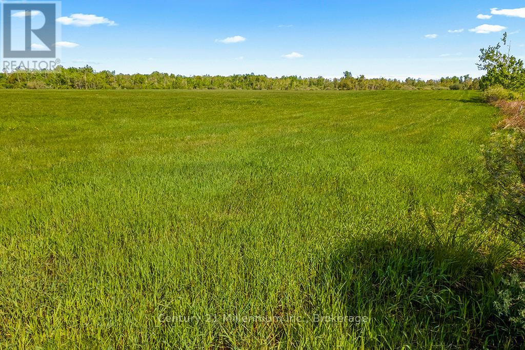 375533 6th Line, Amaranth, Ontario L9V 1K8 - Photo 22 - X12551434