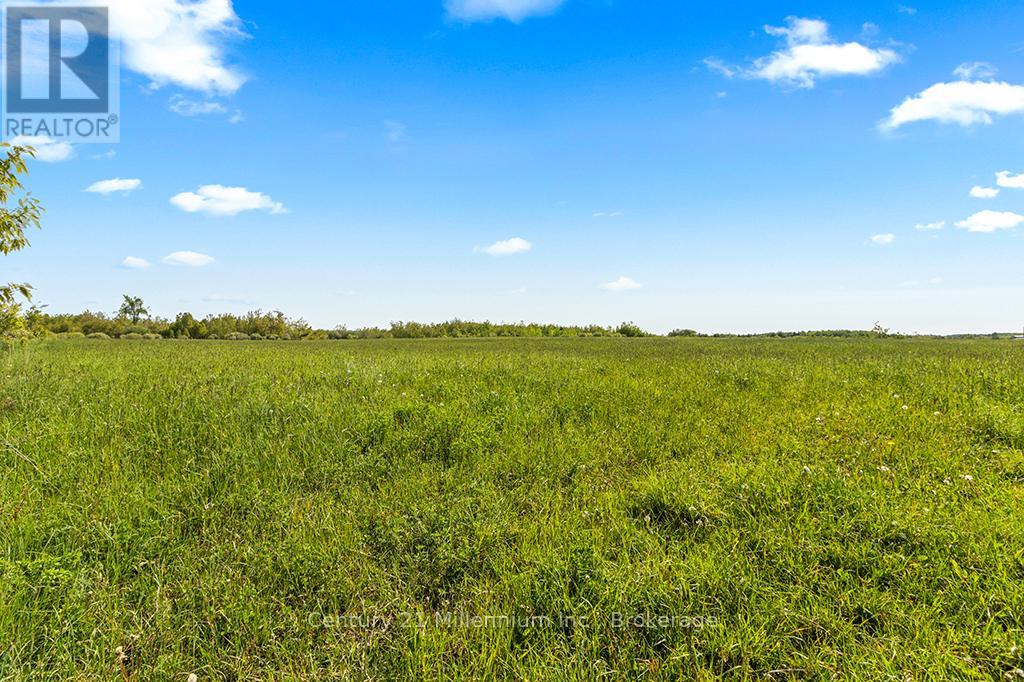 375533 6th Line, Amaranth, Ontario L9V 1K8 - Photo 23 - X12551434