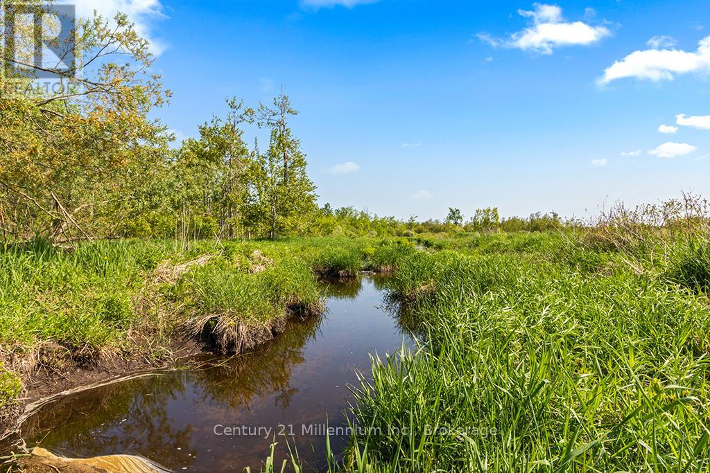 375533 6th Line, Amaranth, Ontario L9V 1K8 - Photo 28 - X12551434