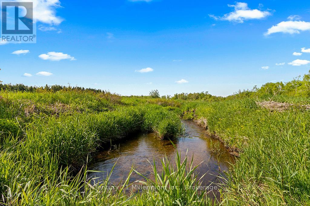 375533 6th Line, Amaranth, Ontario L9V 1K8 - Photo 29 - X12551434