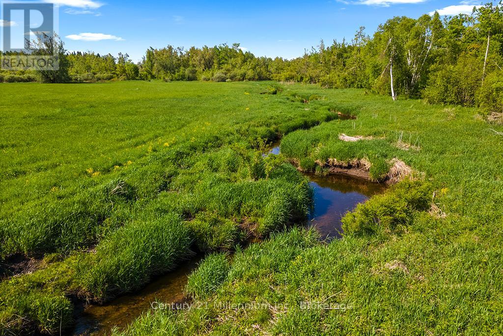 375533 6th Line, Amaranth, Ontario L9V 1K8 - Photo 31 - X12551434