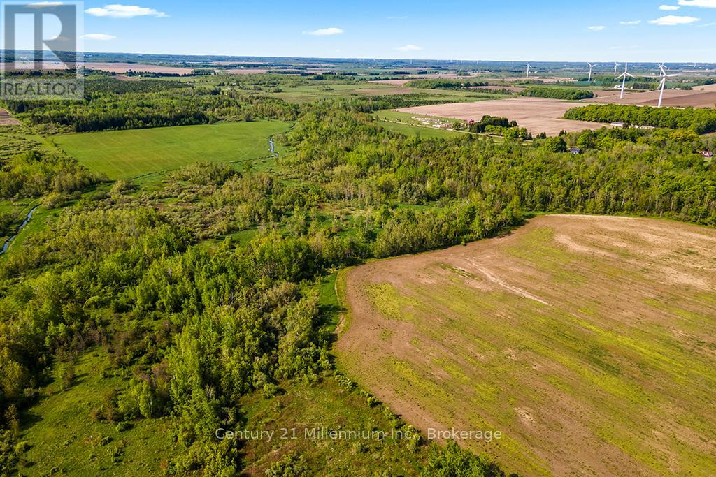 375533 6th Line, Amaranth, Ontario L9V 1K8 - Photo 34 - X12551434