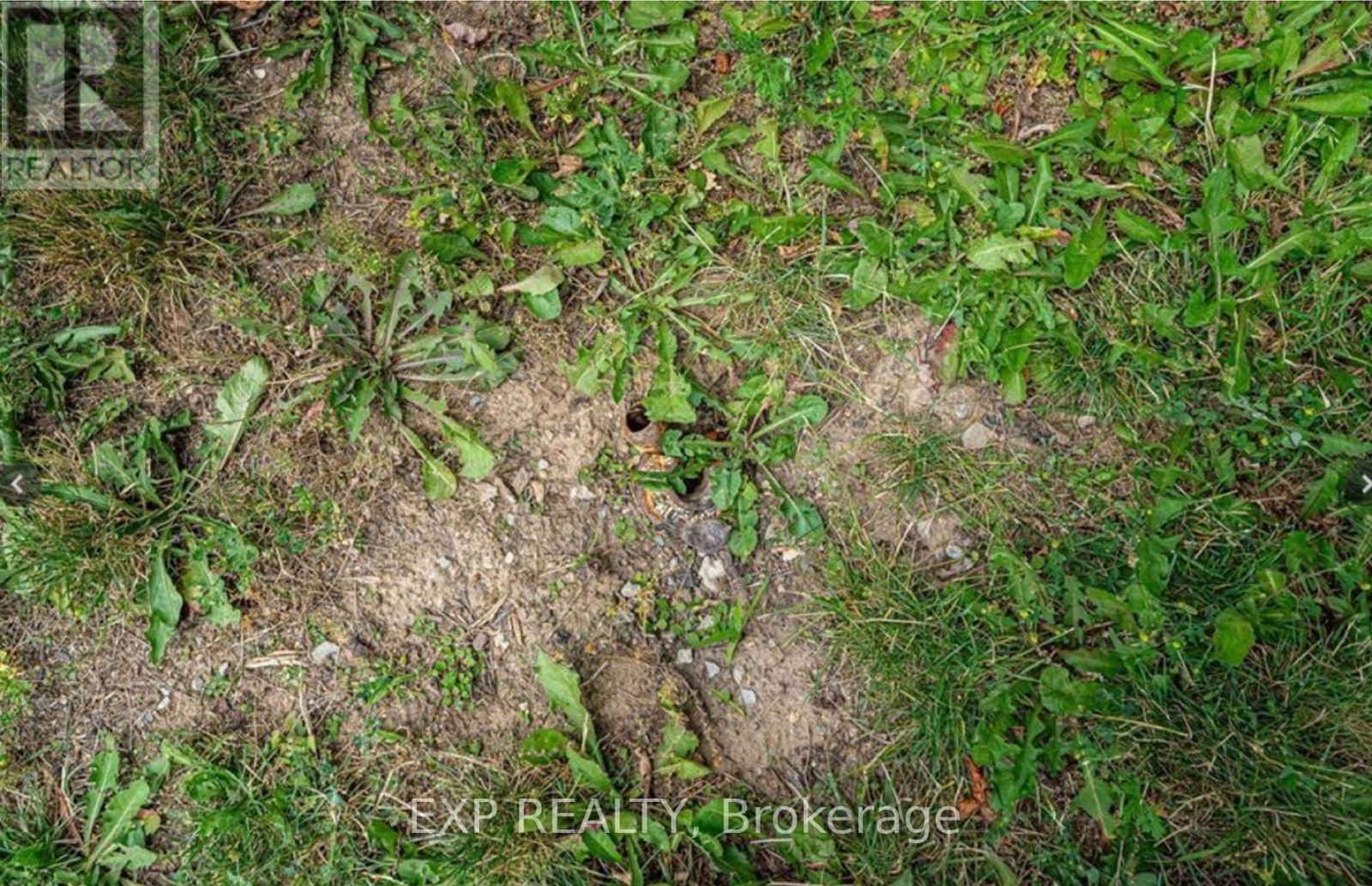 879 West 5th Street, Hamilton, Ontario L9C 5R4 - Photo 6 - X12551144